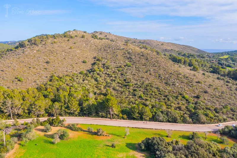 F4 - Finca for sale in Canyamel — photo 2