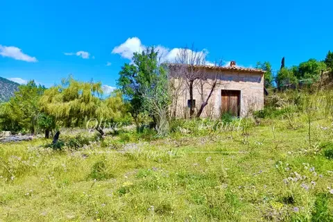Land in Alaro, Mallorca — photo 6