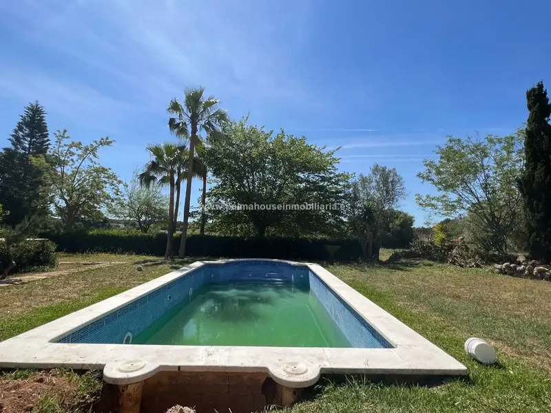 In the middle of the countryside, next to Playa de Muro, surrounded by nature and tranquility, 3 minutes from the long stretches of white sand beaches — photo 5
