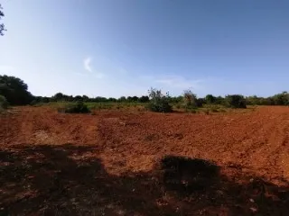 Beautifully located plot not far from Porreres Rustic Land — photo 4