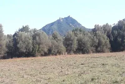Building Plot with Project near Felanitx — photo 1