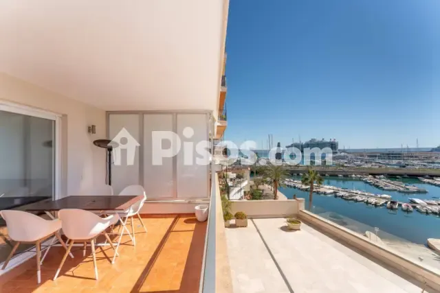 Apartment in El Terreno — photo 1