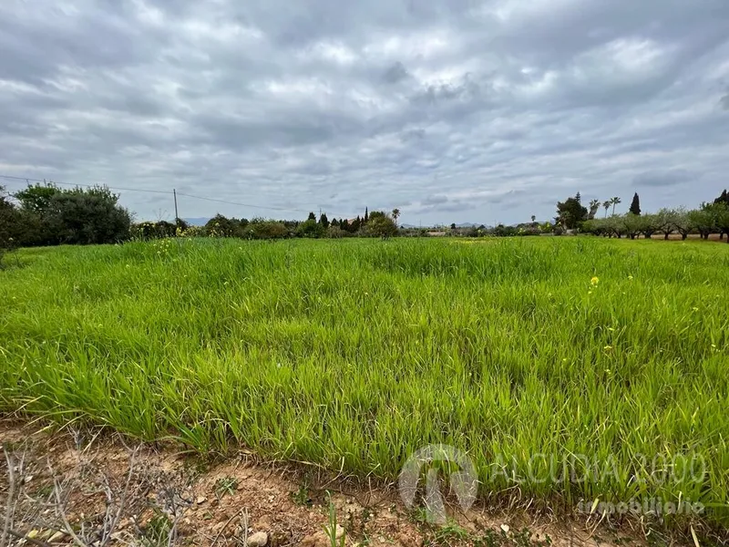 Land — photo 7