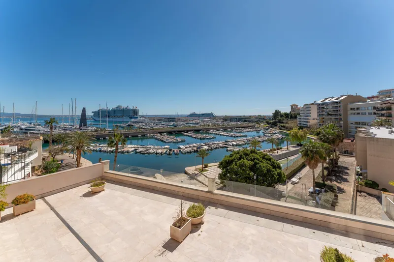 Flat - Palma de Mallorca (El Terreno) — photo 7