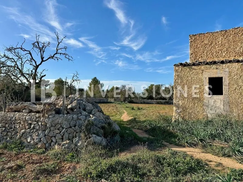 Rural or Farmhouse in Felanitx, Province of Balearic Islands — photo 11