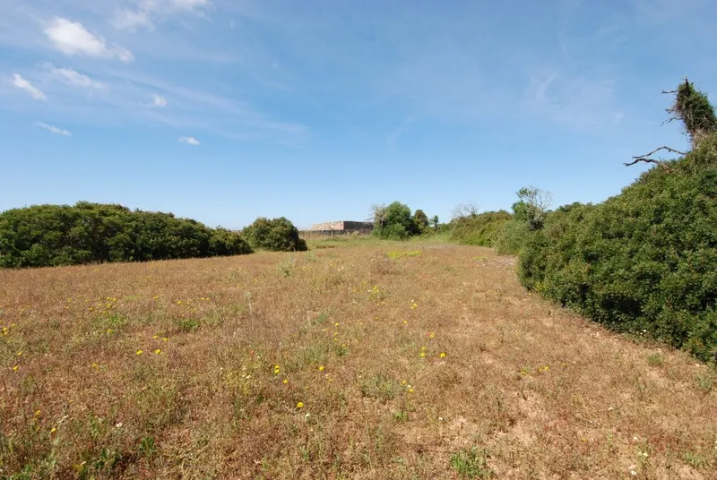 Plot with construction license located 800 meters from Ses Salines — photo 3