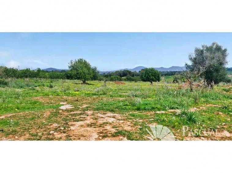Rural Plot for Sale in S’Illot-Cala Morlanda — photo 7