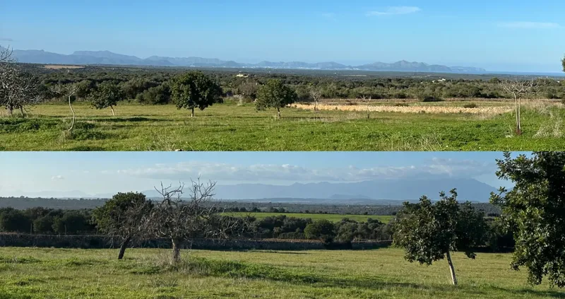 Mediterranean finca: Exclusivity and clear views in Manacor — photo 9