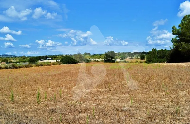 Exclusive building plot with large construction permits and 50 sqm pool — photo 4