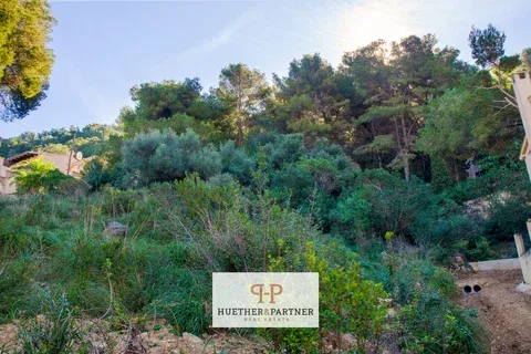 Land in Canyamel, Mallorca — photo 10