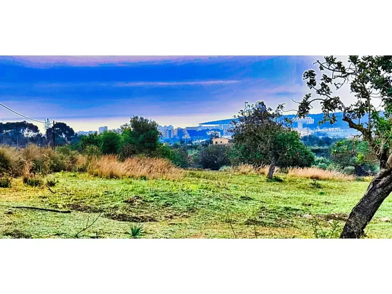 In the Bellavista area, very close to Cala Millor, on a plot of 14110 m2 we offer you this new project: a finca of a superf — photo 9
