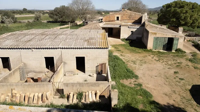 finca in Felanitx — photo 7