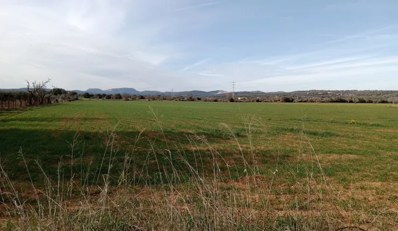 Country Plot near Campos — photo 4