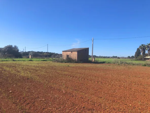 Rustic Fincas — photo 7