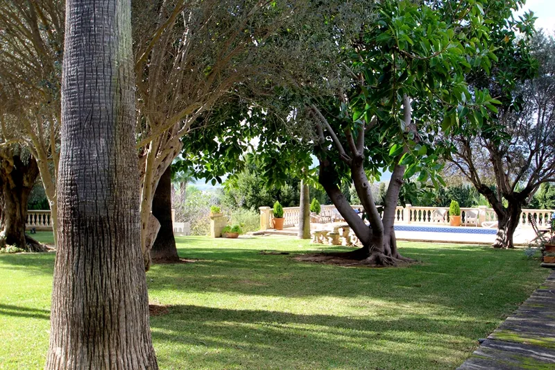 Charming and beautiful country house with 4 bedrooms, pool, garden, sea view in Alcudia — photo 12