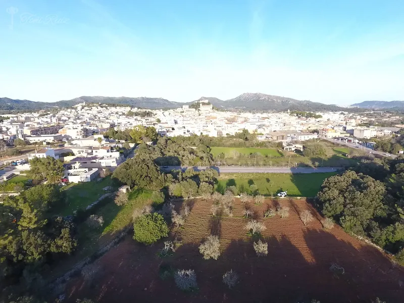 S1 - Plot — photo 2