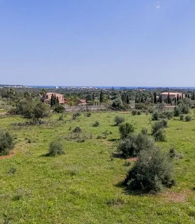 Sea-view plot just 10 minutes from Porto Cristo — photo 1