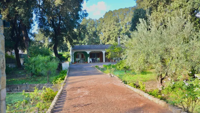 Discover this wonderful single-story property, built in 1980 and located on a generous plot of 1,920 m2 in the quiet area — photo 1