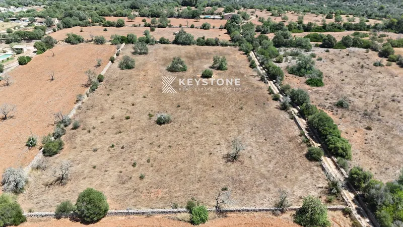 Plot — photo 3