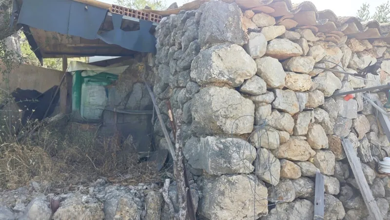 Olive grove in Fornalutx with tool shed — photo 7