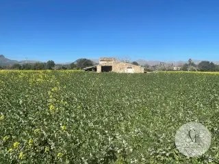 Exclusive Rustic Estate for Sale at C&M Fine Homes - A Haven of Tranquility in Alcúdia — photo 2