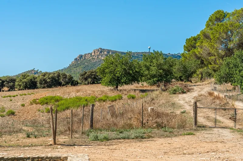 An Exceptional Country Estate for Family & Friends with Spectacular Randa Views — photo 12