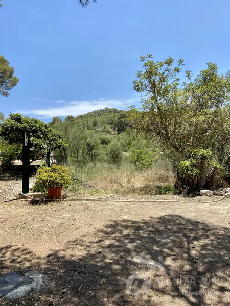 Country home — photo 5
