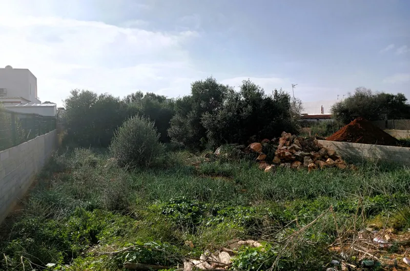 Strategic Investment in Santanyí: Plot for Community Projects in Tranquil Cala D'Or — photo 1