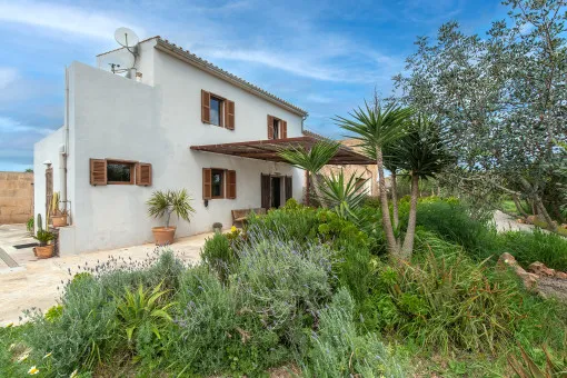 Campos: Authentic finca with agrotourism licence and approved renovation project — photo 6