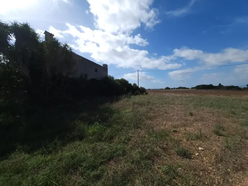 Opportunity: Rustic estate with agricultural building under construction near the beach — photo 4