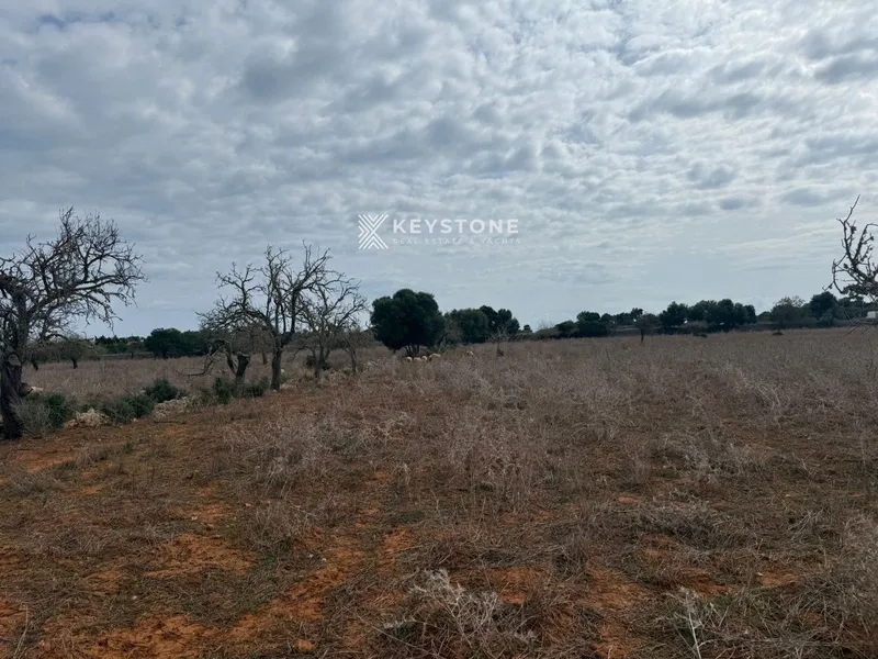 Plot — photo 3
