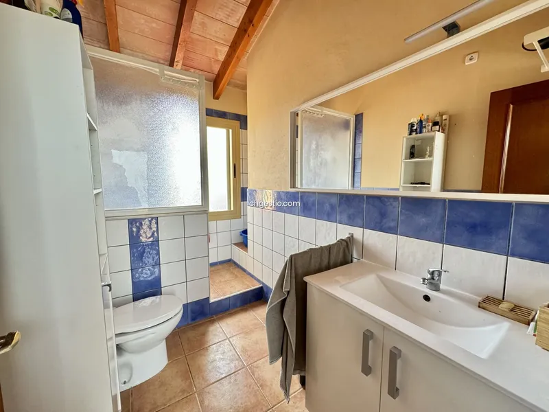 Rustic finca in Campos — photo 12