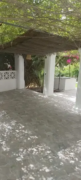 Se alquila para vivienda habitual, magnífico chalet unifamiliar de 150 m² con una terraza de 235m² y una parcela con frutales de 1.200 m², u — photo 4