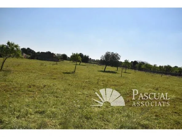 Finca with sea views and approved project in Santa Margalida — photo 1