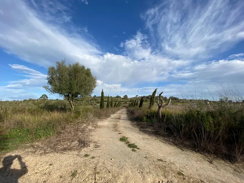 Rustic plot in Muro — photo 1