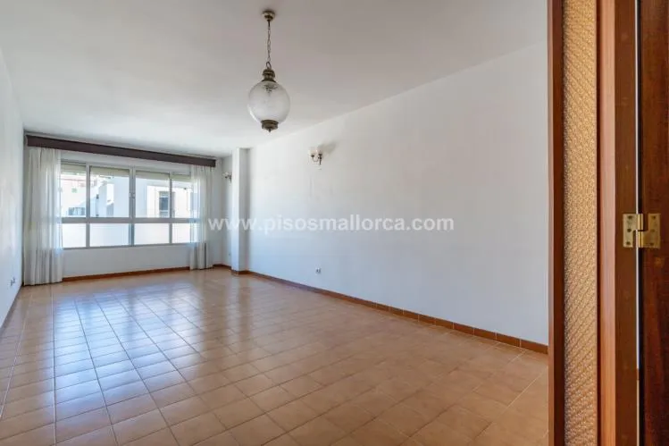Apartment in Palma de Mallorca — photo 4