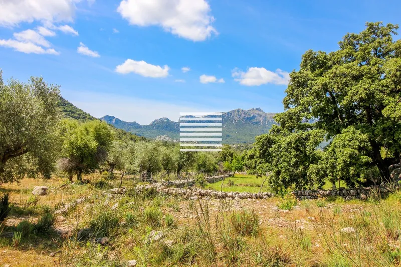 Exclusive country estate situated in the heart of Serra de Tramuntana, Mallorca — photo 2