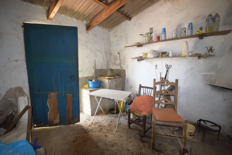 Olive groove with small cottage in the mountains of Sóller — photo 6