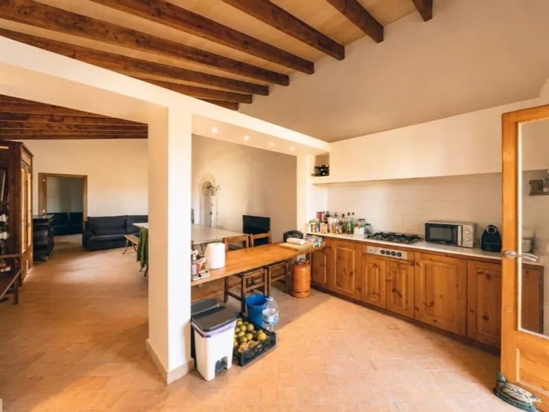 Rural or Farmhouse in Ariany, Province of Balearic Islands — photo 8