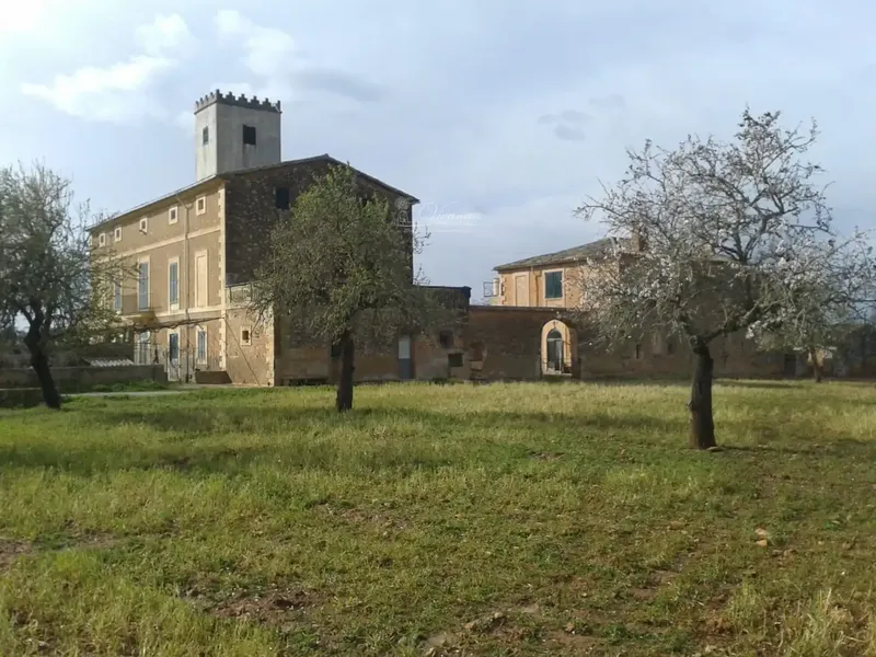 Impressive 18th Century Estate in Algaida — photo 3