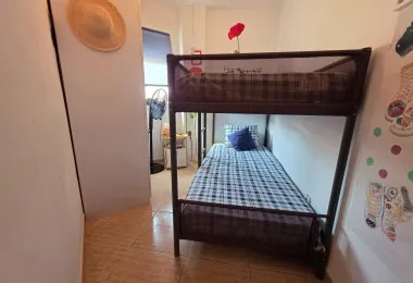 Opportunity for investors in the center of Palma — photo 12