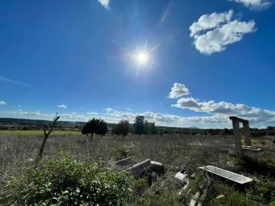 Rustic property - Llubí — photo 6