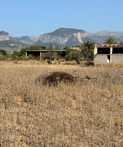 Opportunity to buy a plot in the heart of Mallorca, near Binissalem. — photo 2