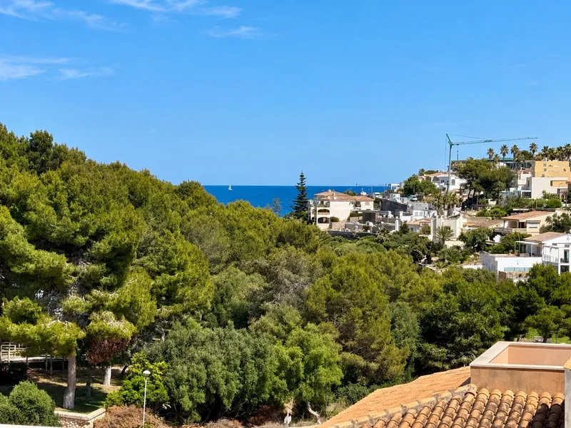 Penthouse for rent in Cala Mandia, Manacor — photo 3