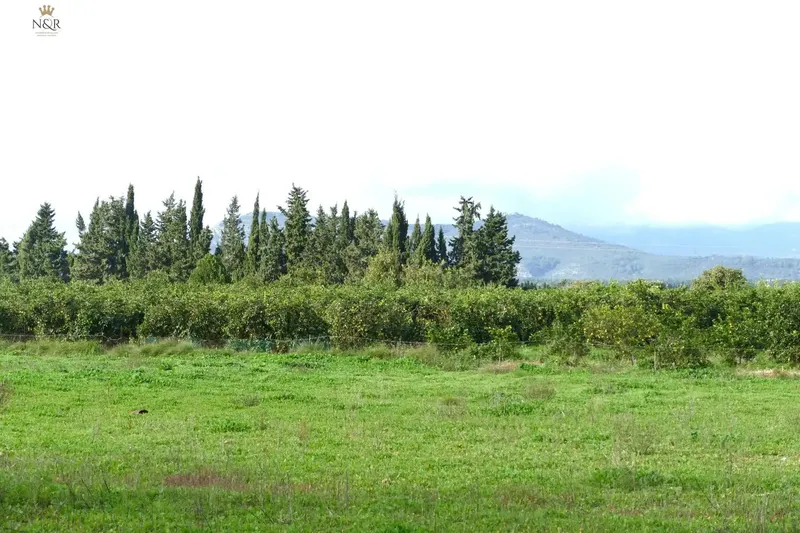 IKV00402-1. Rustic finca in Llubi with very good access, just 3 km from Muro train station and clear views of the mountain. — photo 7