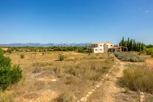 Algaida, impressive finca with large plot and agricultural possibilities — photo 10