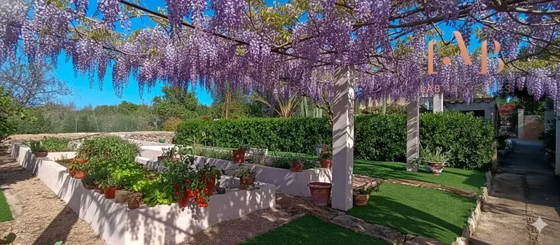 We present this wonderful rustic estate in Portol ideal for a large family, located in a privileged natural setting where you can — photo 7