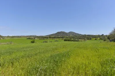 Plot with building licence in Manacor — photo 1