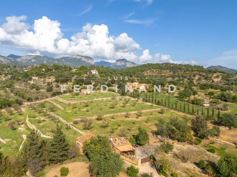Luxury home in Santa Maria del Camí, Province of Balearic Islands — photo 5