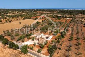 Ref. PRO224 – Newly built finca in fantastic location near Alquería Blanca — photo 9